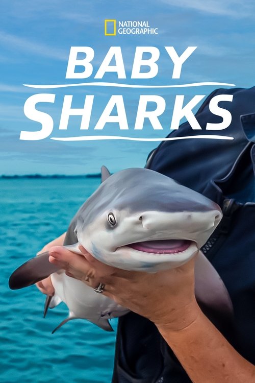 Baby Sharks постер