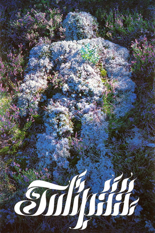 Flame Top постер