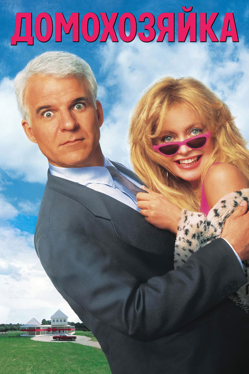 Домохозяйка постер