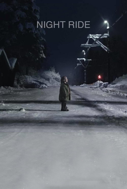 Nattrikken постер