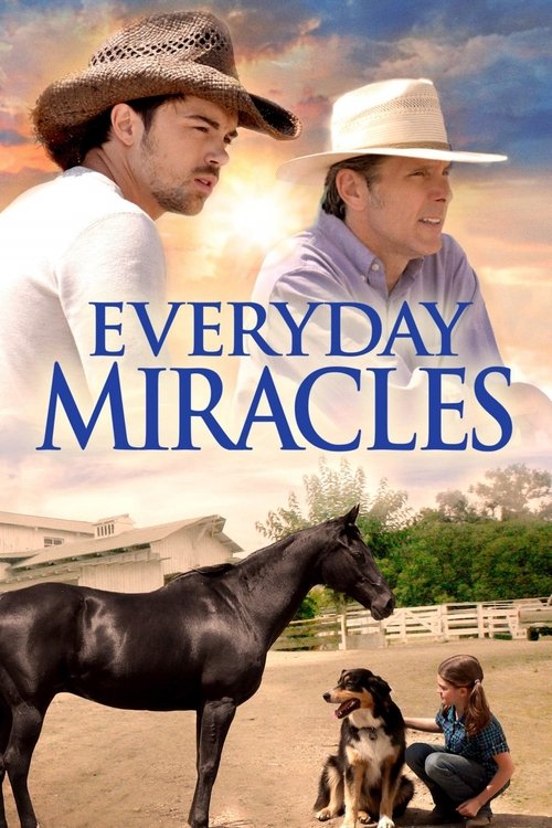 Everyday Miracles постер