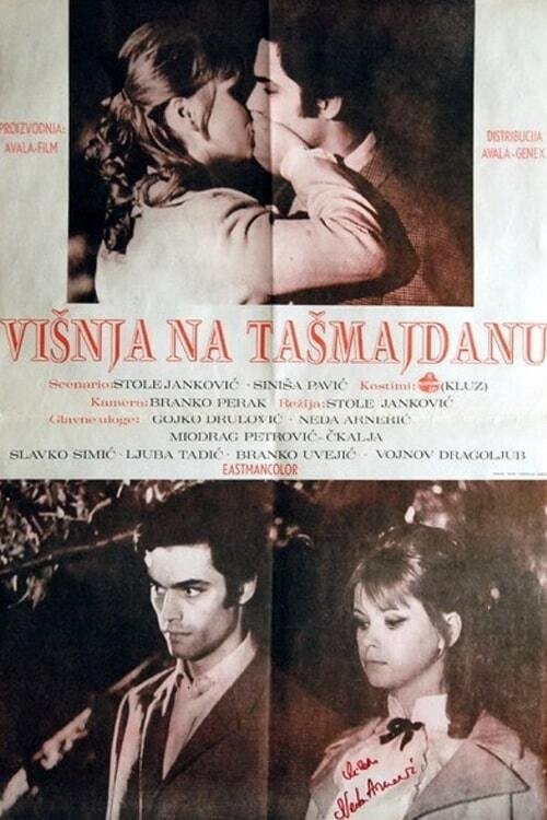 Višnja na Tašmajdanu постер