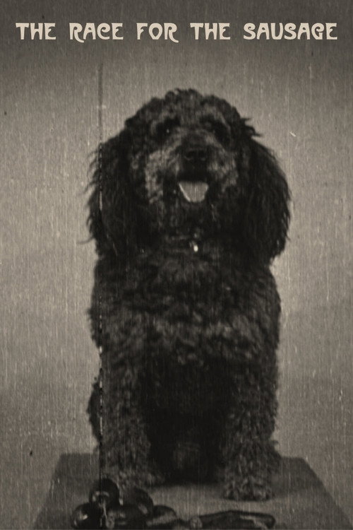 Course à la saucisse постер