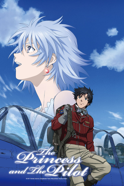 The Princess and the Pilot постер