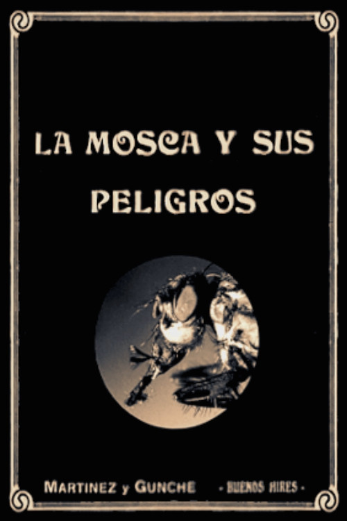 La mosca y sus peligros постер