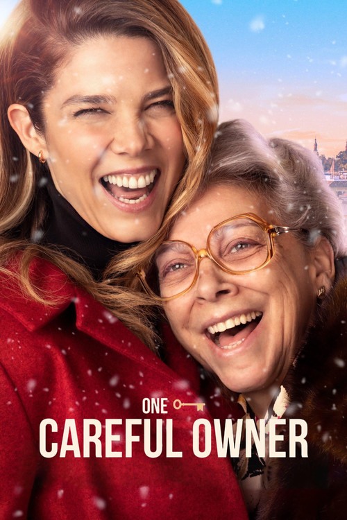 El inconveniente постер