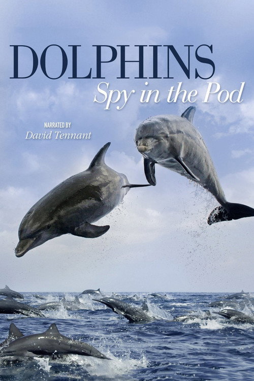 Dolphins: Spy in the Pod постер
