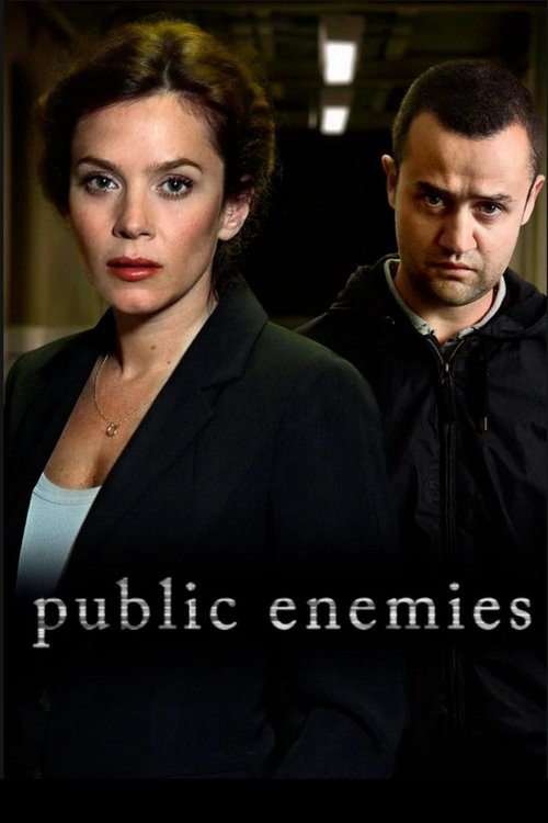 Public Enemies постер