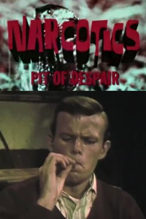 Narcotics: Pit of Despair постер