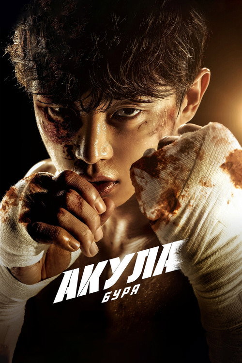 Акула: Буря постер