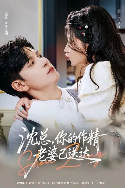 沈总，你的作精老婆已送达 постер