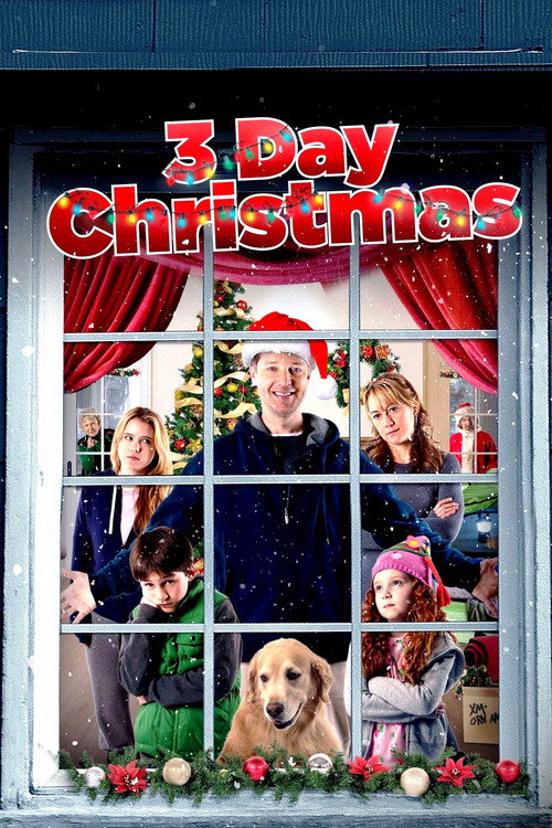 3 Day Test постер