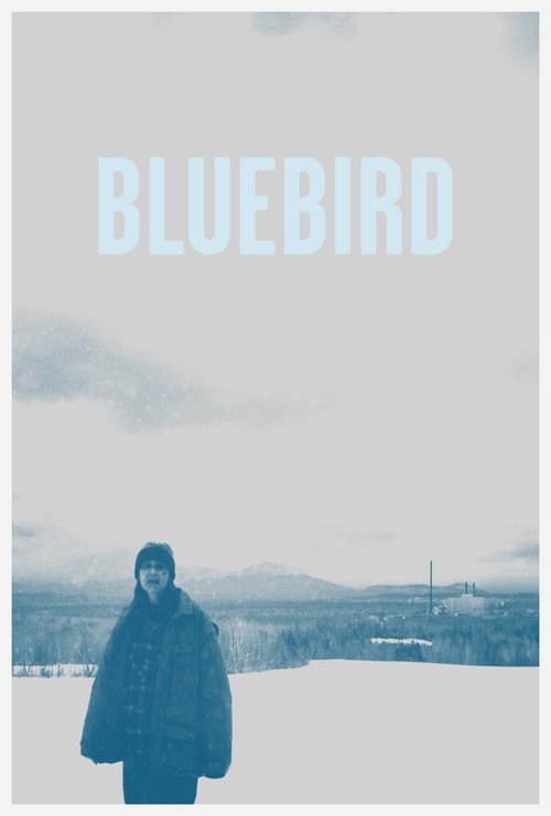 Bluebird постер