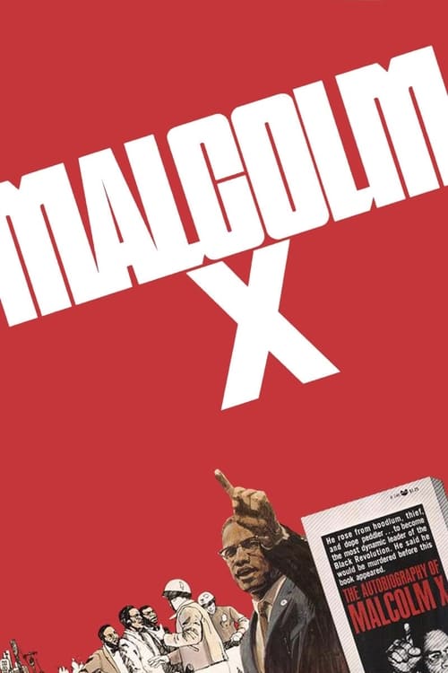 Malcolm X постер