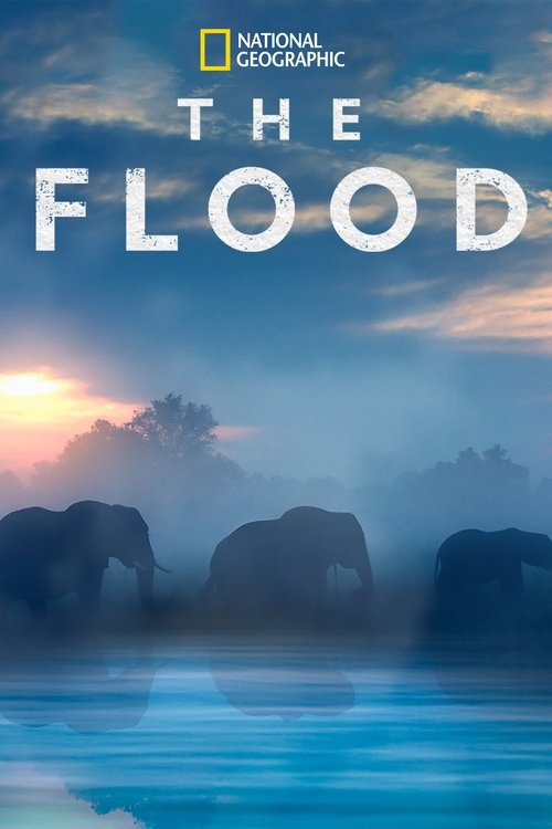 The Flood постер