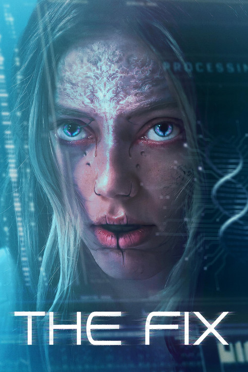 The Fix постер