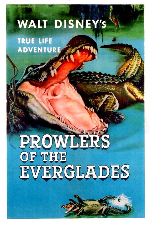 Prowlers of the Everglades постер