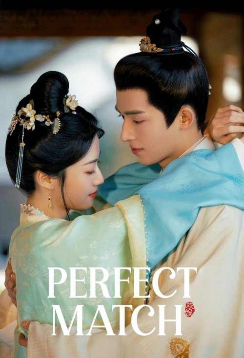 Perfect Match постер