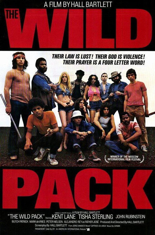 The Sandpit Generals постер