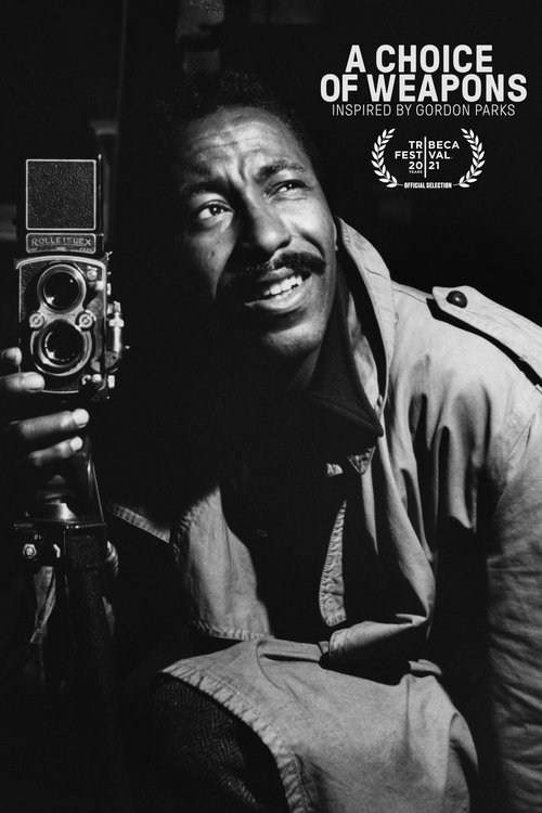 A Choice of Weapons: Inspired by Gordon Parks постер