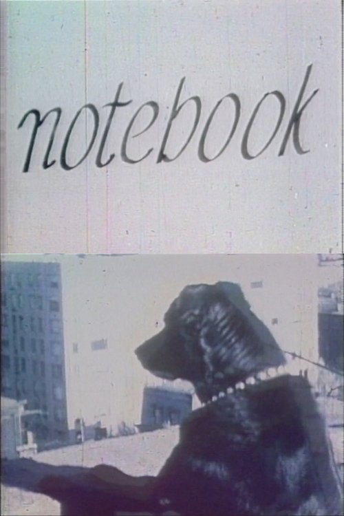 Notebook постер