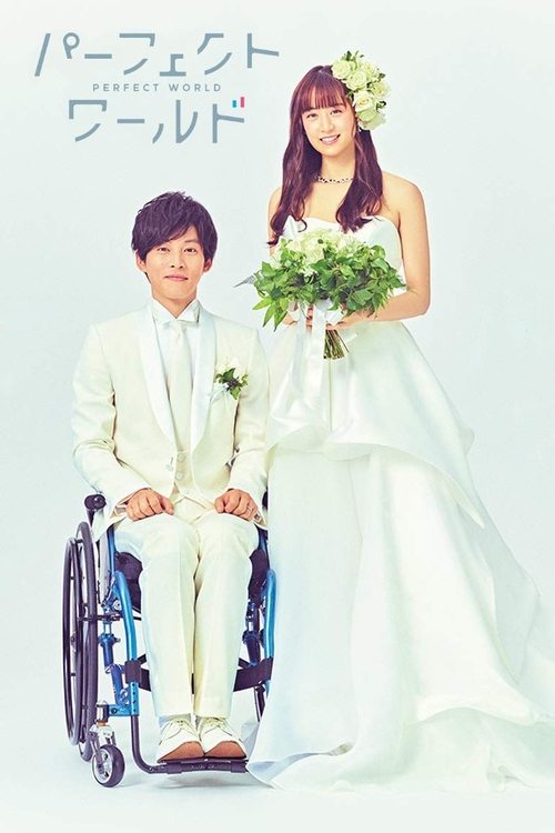 パーフェクトワールド постер
