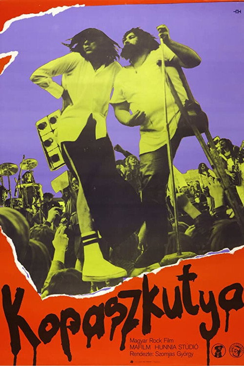 Bald Dog Rock постер