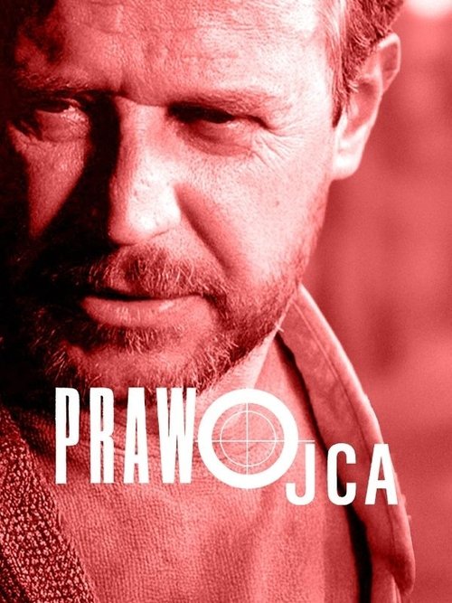 Prawo ojca постер