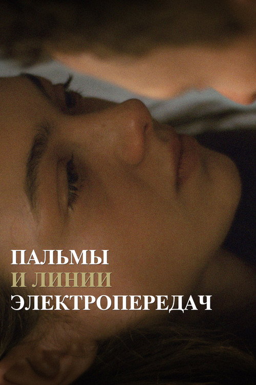 Пальмы и линии электропередач постер