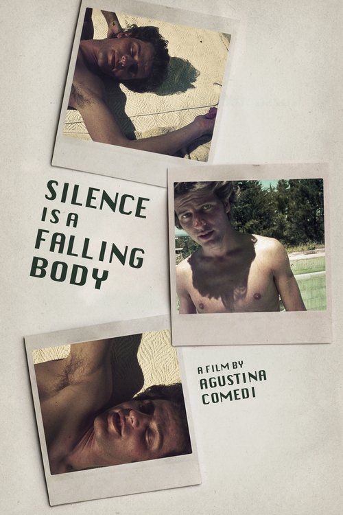 Silence Is a Falling Body постер
