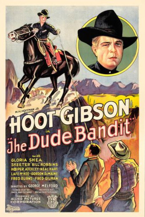 The Dude Bandit постер