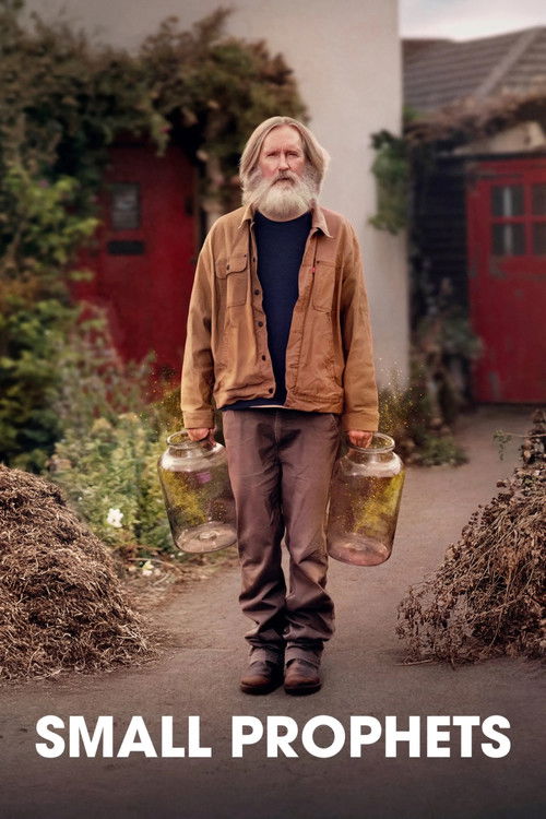 Small Prophets постер