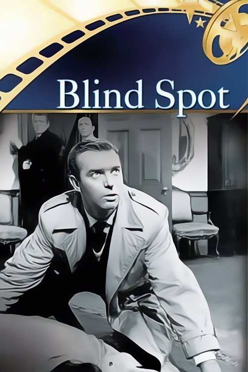 Blind Spot постер