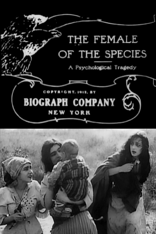 The Female of the Species постер