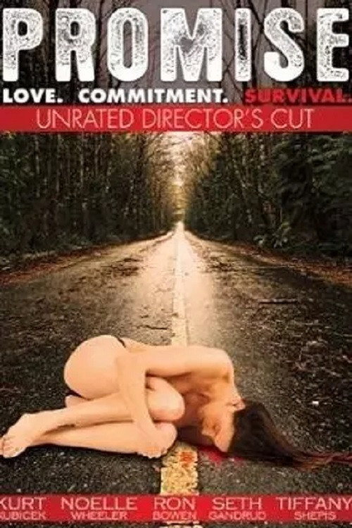 Promise постер