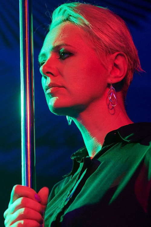 Manželé Stodolovi постер