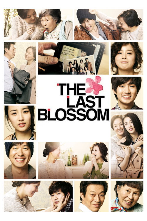 The Last Blossom постер
