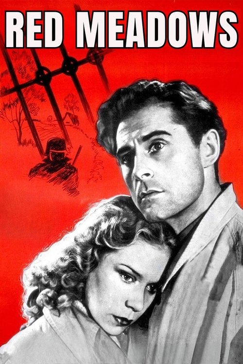 Красные луга постер