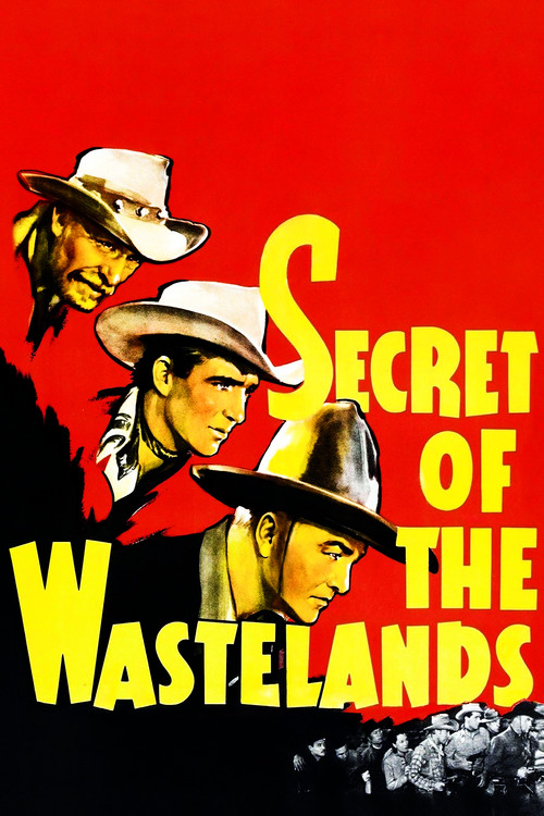 Secret of the Wastelands постер