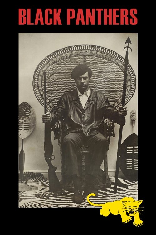 Black Panthers постер