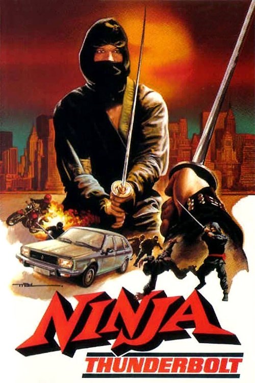 Ninja Thunderbolt постер