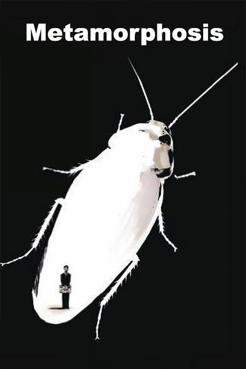 Metamorphosis постер