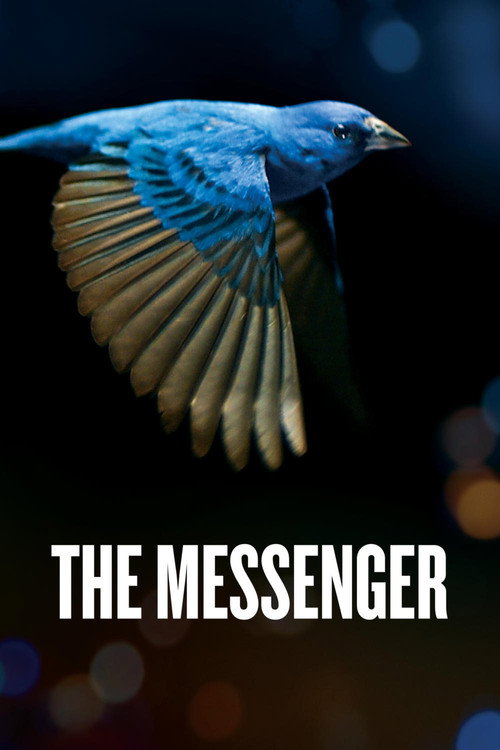 The Messenger постер