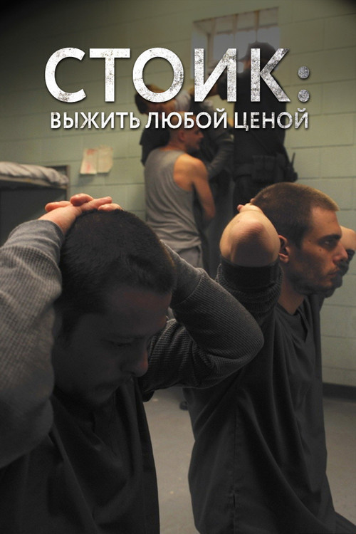 Стоик: Выжить любой ценой постер