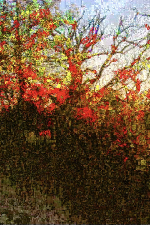 Le Révélateur постер