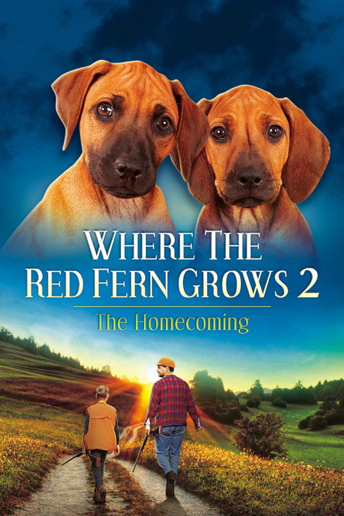 Where The Red Fern Grows Part 2 постер