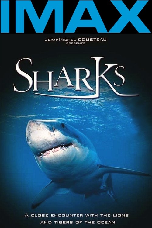 IMAX: Sharks 3D постер