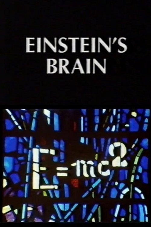 Relics: Einstein's Brain постер