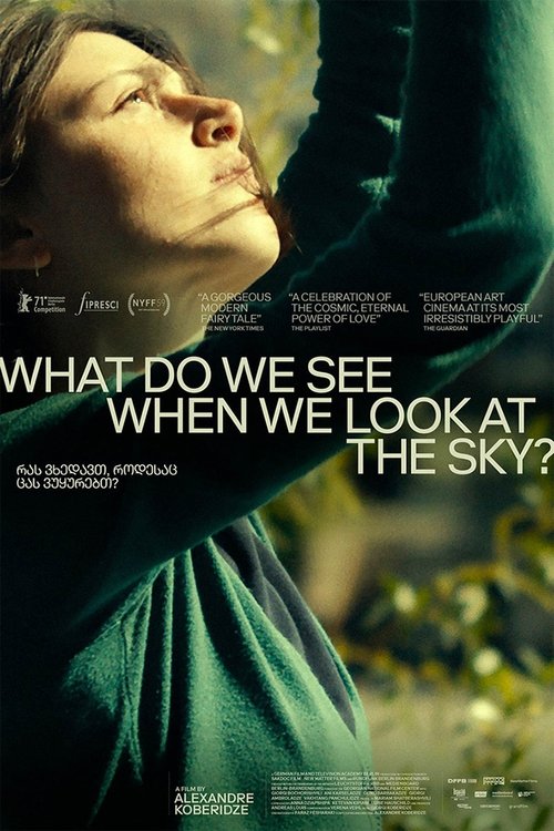 What Do We See When We Look at the Sky? постер