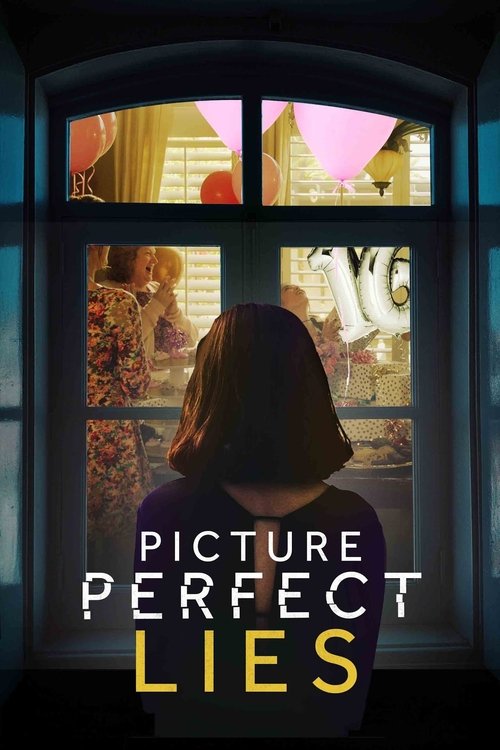 Picture Perfect Lies постер